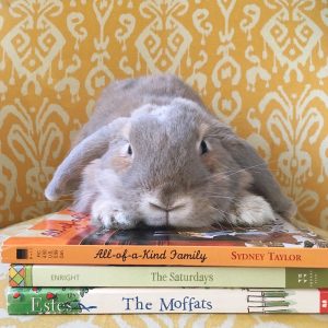 Our rabbit, Izzy, loves books too!