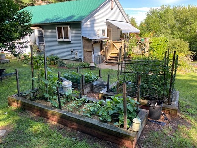 A picture of author Joseph Bruchac's vegetable garden.