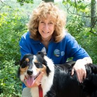 Guest Blogger: Sy Montgomery Picture of Sy in blue shirt with green leaves in background and black and white collie dog.