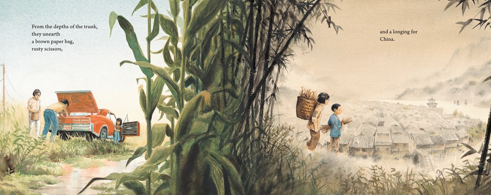 An interior spread from Watercress, written by Andrea Wang and illustrated by Jason chin, showing a family by the side of an Ohio road on the left and a family walking in a field in China on the right.