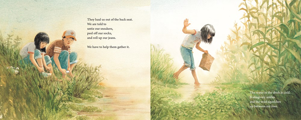 An interior spread from Watercress, written by Andrea Wang and illustrated by Jason chin, showing a girl and her brother collecting watercress in a ditch.