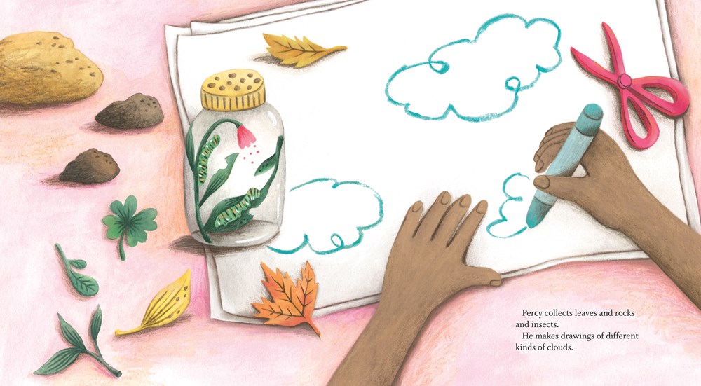 An interior image from Percy's Museum, written by Sara O'Leary and illustrated by Carmen Mok, showing a young boy's hands as he draws a nature scene with crayons.