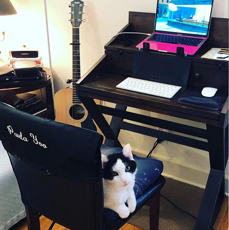 Paula Yoo's computer desk with her cat.