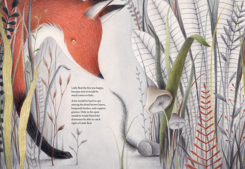 An interior image of Before We Sleep, written by Giorgio Volpe and illustrated by Paolo Proietti, showing a fox and a mouse walking through tall, multi-textured grasses and flowers.