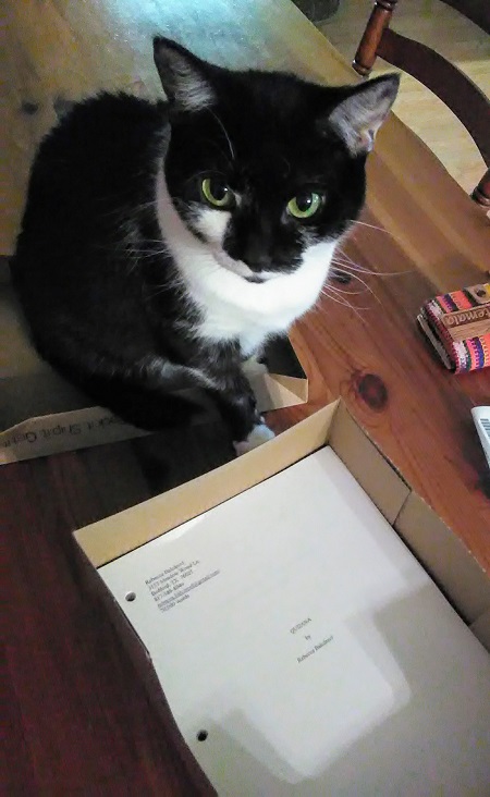 Rebecca Balcarcel's black cat sitting with manuscript pages.