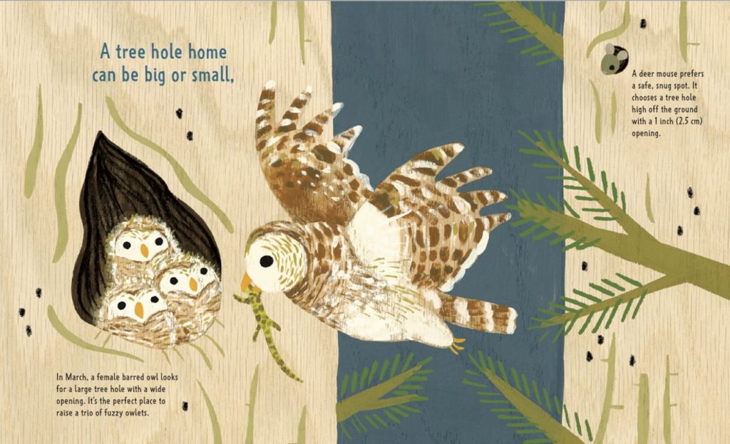A page spread from Tree Hole Homes features a female barred owl bringing a lizard to her owlets in a large hole. A deer mouse pokes its head out of a small hole in another tree.