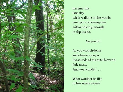 Page from the book reads "Imagine this: One day while walking in the woods, you spot a towering tree with a hole big enough to slip inside. So you do. As you crouch down and close your eyes, the sounds of the outside world fade away. And you wonder... What would it be like to live inside a tree?