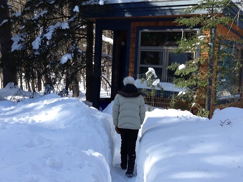 Margi Preus, walking to her little wooden writing studio in winter, through a path of snow.