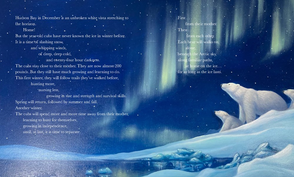 An interior image from Polar Bear, written by Candace Fleming and illustrated by Eric Rohmann, showing a mother bear and her cubs looking at the night sky lit with streaks of northern lights.