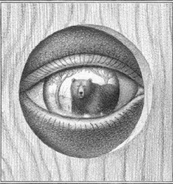 An interior black-and-white image from Windswept, written by Margi Preus and written by Armando Veve, showing an eye, peeking through a cut-out in a wooden wall. An image of a large bear in a forest is reflected in the iris of the eye.