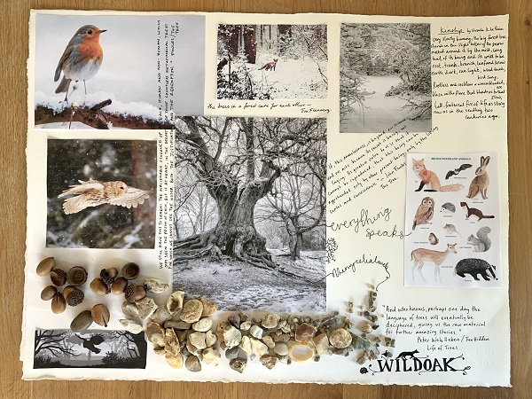 C.C. Harrington's inspiration board for Wildoak Forest, featuring pictures of birds, animals, trees, her handwritten notes, and a scattering of shells and acorns.
