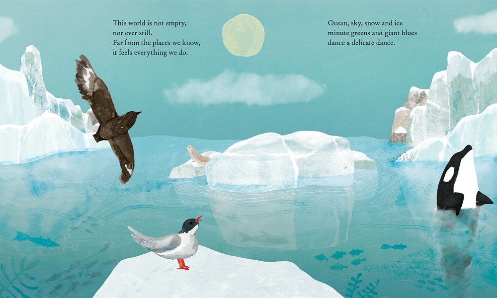 An interior image from Iceberg, written by Claire Saxby and illustrated by Jess Racklyeft, showing ice floes surrounded by marine life, including soaring birds and an orca.