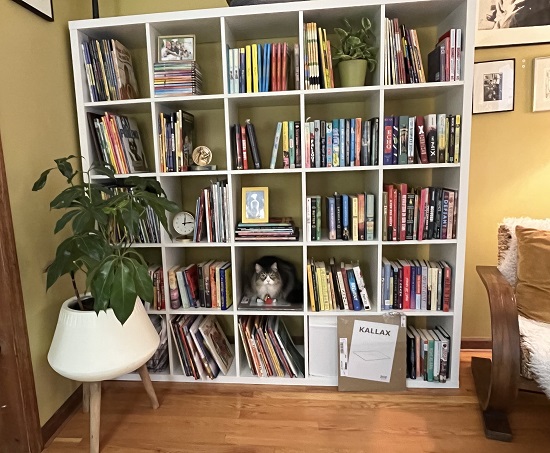 Lesa Cline-Ransome's office with large white cube bookshelves filled with books.
