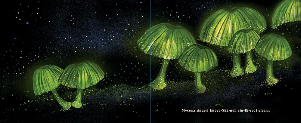 An interior spread from The Science of Light showing glowing mushrooms.