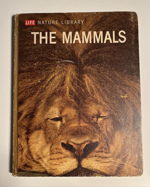 The cover the The Mammals, a Time Life book that was Margaret Peot's favorite as a child.