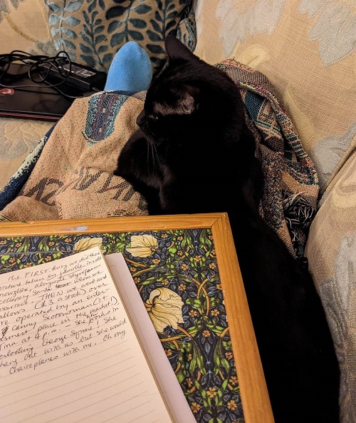 Elizabeth Wein's lap desk with handwritten manuscript in process and a black cat stretched out at her feet.