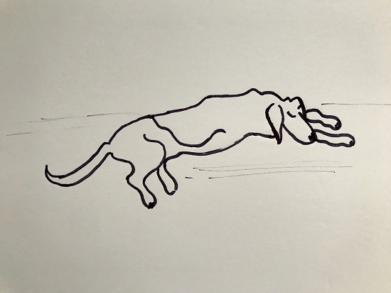 Author Lisa Rogers' black ink drawing of her dog sleeping.