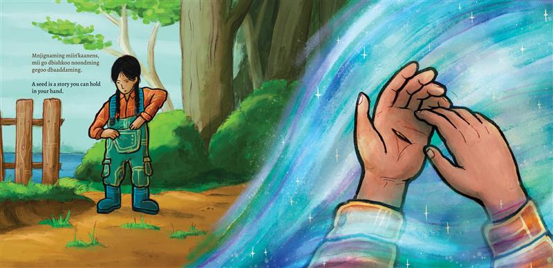 An interior spread from Mnoomin maan'gowing / The Gift of Mnoomin, showing a child, on the left side, reaching into an overall pocket. On the right side, a close-up of the child's hands show a seed against a sparkling blue swirl of water.