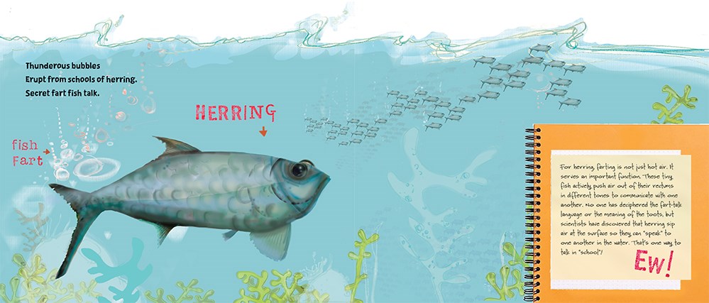 An interior spread from Haiku, Ew! featuring a herring swimming underwater. On the left is a haiku about the herring and on the right are more prose facts about herring, including information about how they fart!