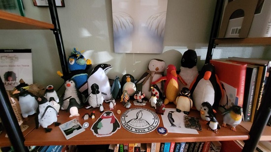 A collection of small penguins on a shelf in G. Neri's office.