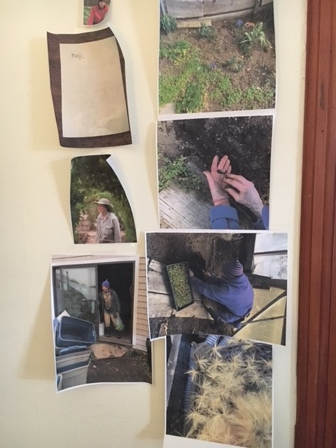 A wall of research photos of Farmer Eva in Jacqueline Briggs Martin's study.