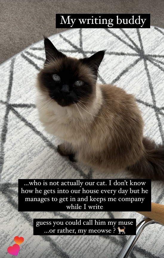 An image of a brown-and-black cat with the following text: "My writing buddy who is not actually our cat. I don't know how he gets into our house everyday but he manages to get in and keeps me company while I write. Guess you could call him my muse... or rather, my meowse?"